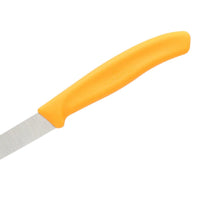 Victorinox - Schilmes Swiss Classic Oranje 8 cm Victorinox